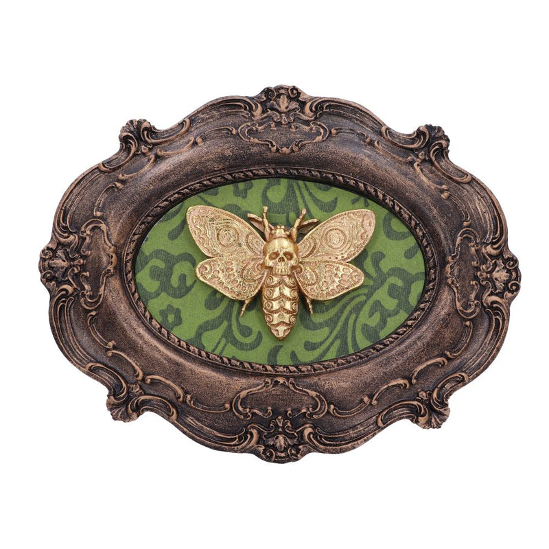 Baroque Framed Death's Head Moth Wall Plaque - Various Styles