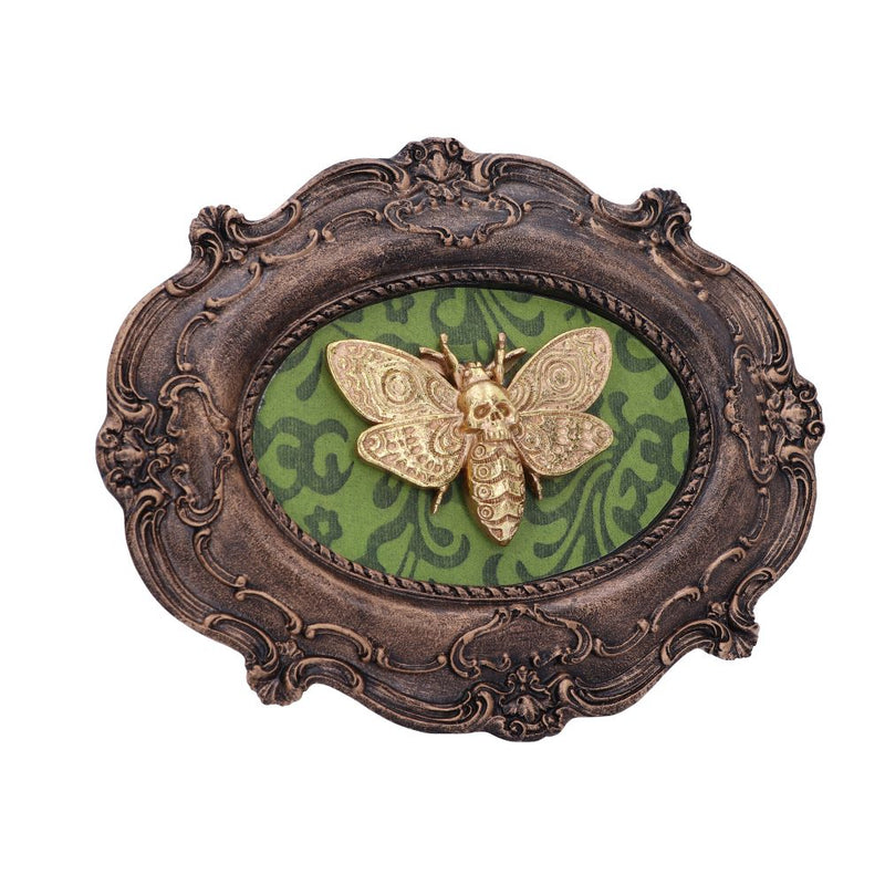 Baroque Framed Death's Head Moth Wall Plaque - Various Styles