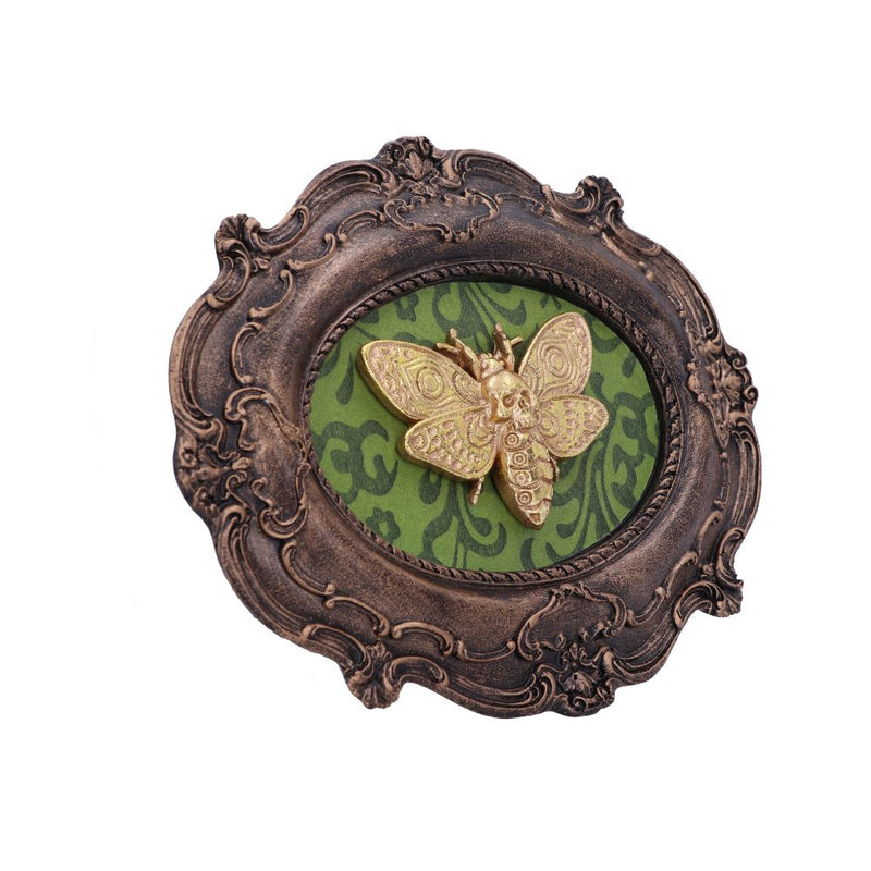 Baroque Framed Death's Head Moth Wall Plaque - Various Styles