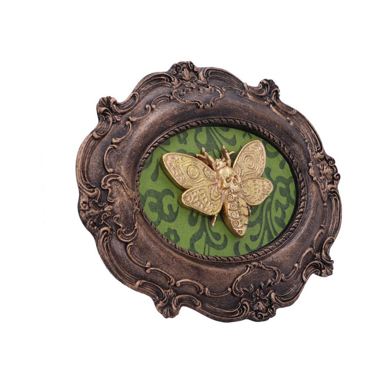 Baroque Framed Death's Head Moth Wall Plaque - Various Styles