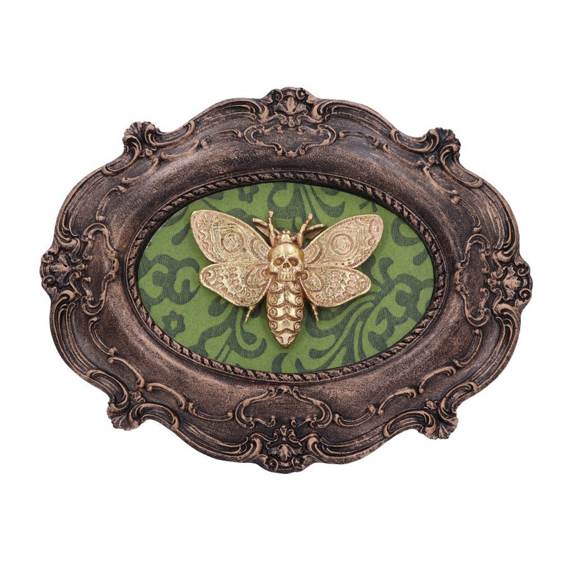 Baroque Framed Death's Head Moth Wall Plaque - Various Styles
