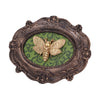 Baroque Framed Death's Head Moth Wall Plaque - Various Styles