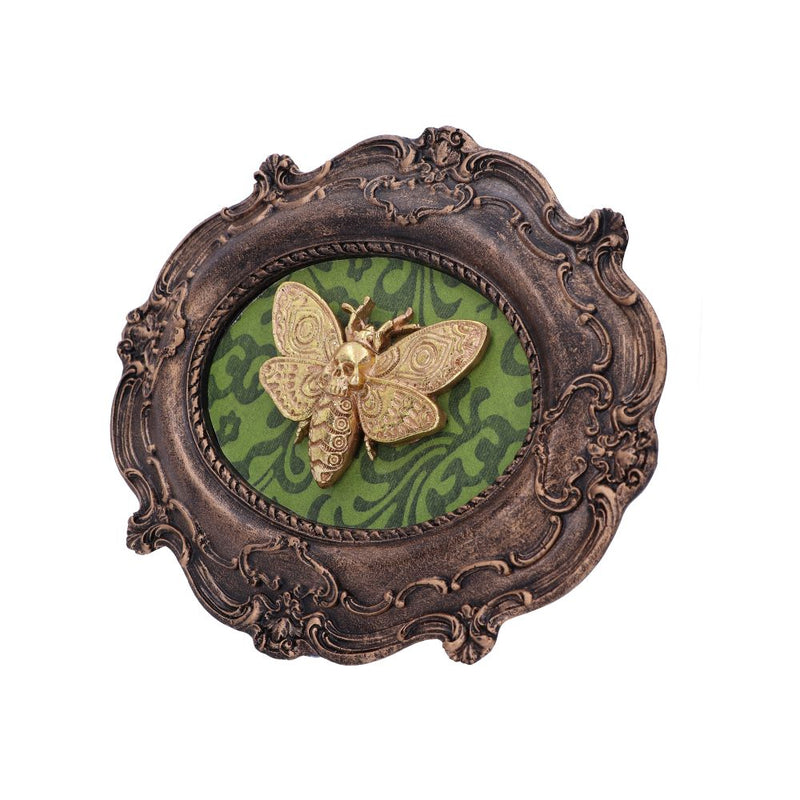 Baroque Framed Death's Head Moth Wall Plaque - Various Styles