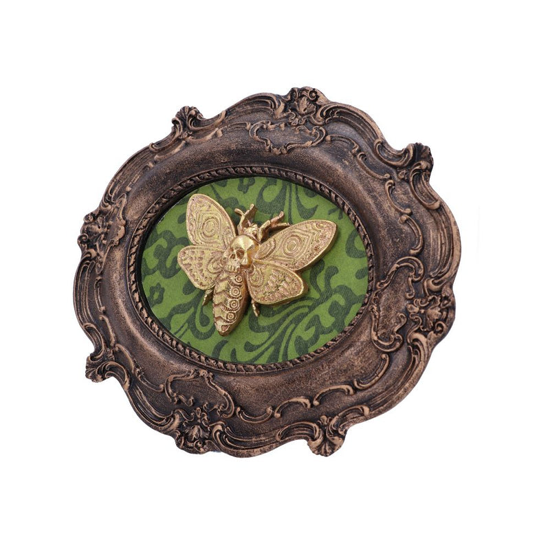 Baroque Framed Death's Head Moth Wall Plaque - Various Styles