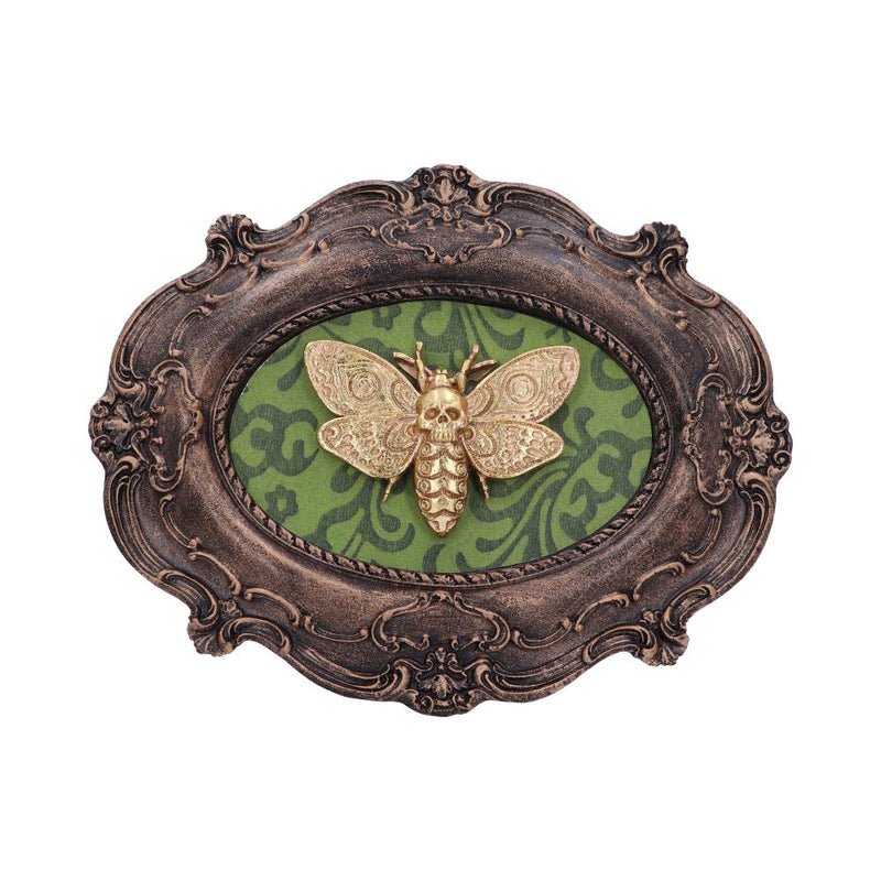 Baroque Framed Death's Head Moth Wall Plaque - Various Styles