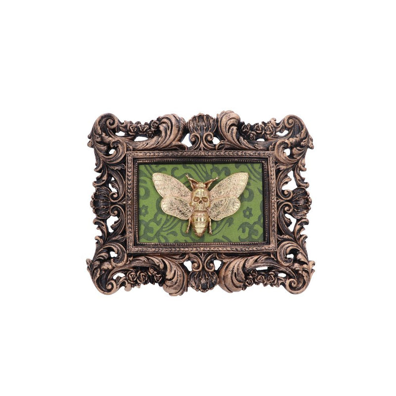 Baroque Framed Death's Head Moth Wall Plaque - Various Styles