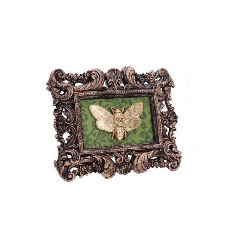 Baroque Framed Death's Head Moth Wall Plaque - Various Styles