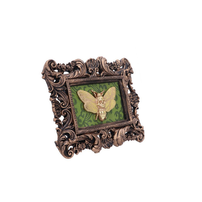 Baroque Framed Death's Head Moth Wall Plaque - Various Styles