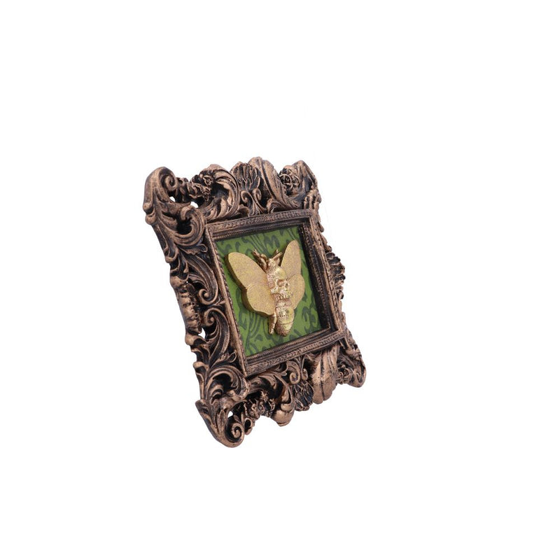 Baroque Framed Death's Head Moth Wall Plaque - Various Styles