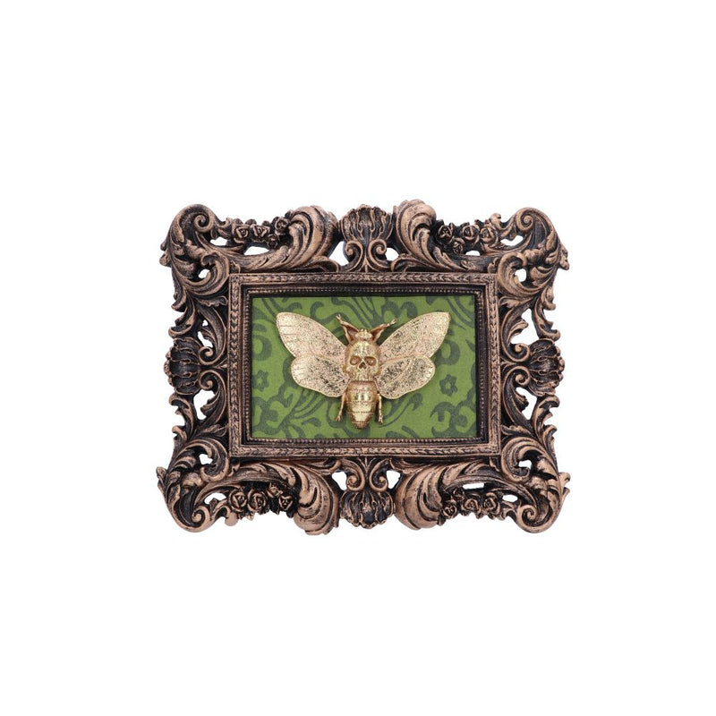 Baroque Framed Death's Head Moth Wall Plaque - Various Styles