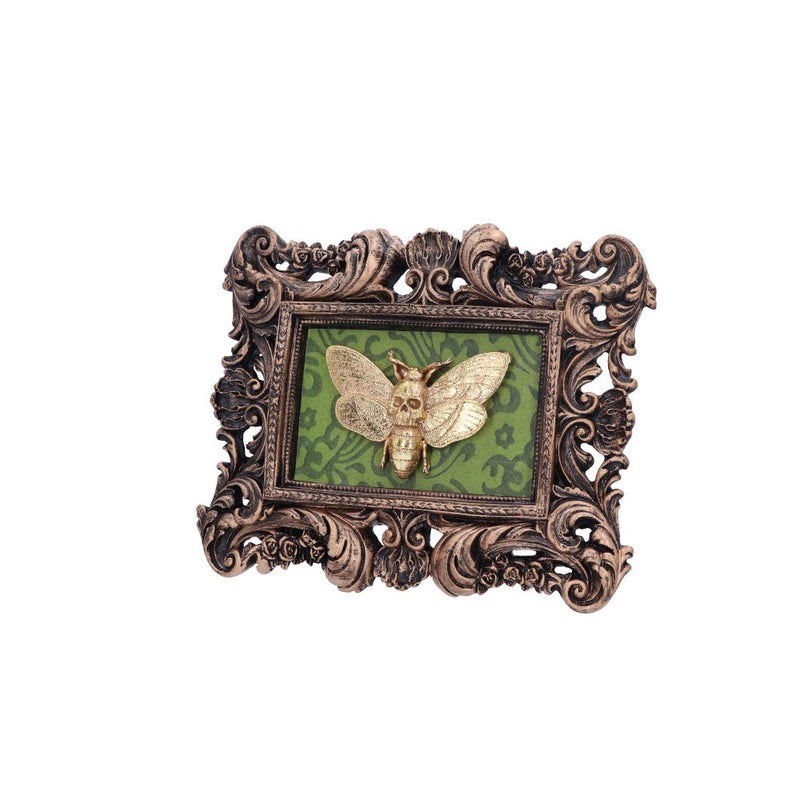 Baroque Framed Death's Head Moth Wall Plaque - Various Styles