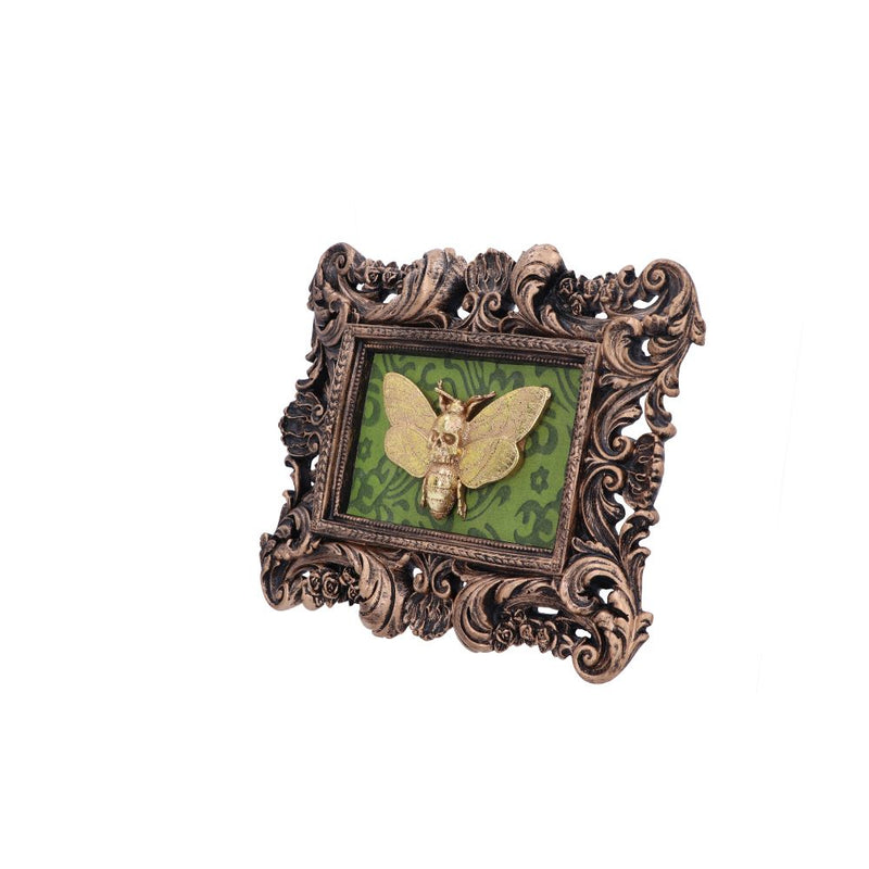 Baroque Framed Death's Head Moth Wall Plaque - Various Styles