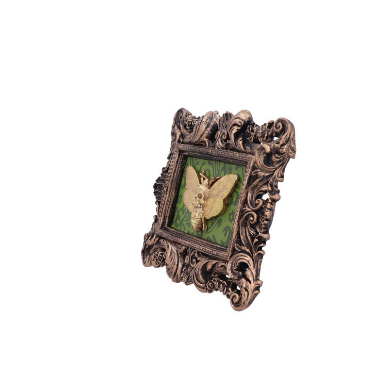 Baroque Framed Death's Head Moth Wall Plaque - Various Styles