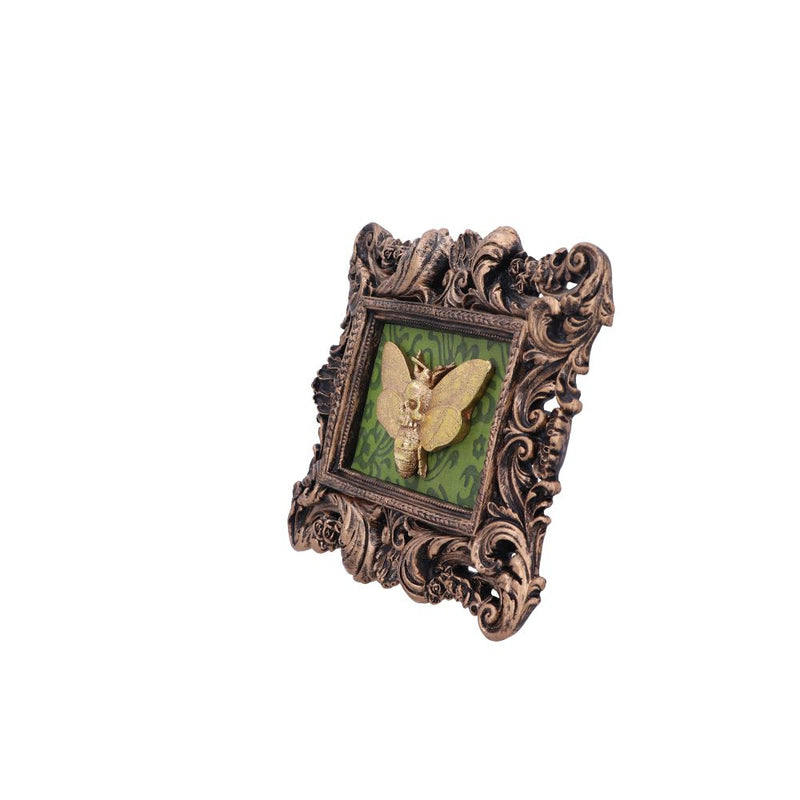 Baroque Framed Death's Head Moth Wall Plaque - Various Styles