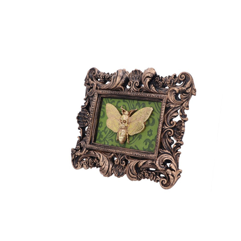 Baroque Framed Death's Head Moth Wall Plaque - Various Styles