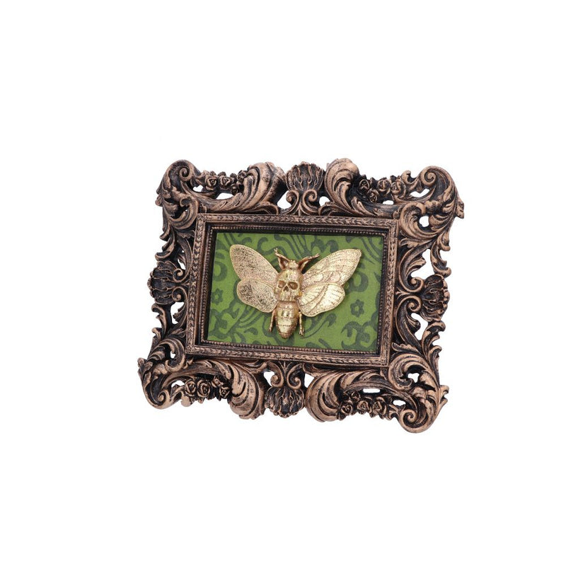Baroque Framed Death's Head Moth Wall Plaque - Various Styles
