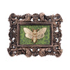 Baroque Framed Death's Head Moth Wall Plaque - Various Styles