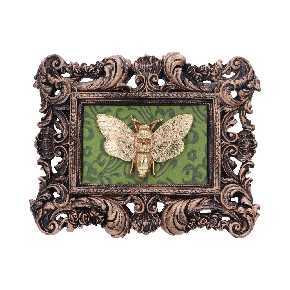 Baroque Framed Death's Head Moth Wall Plaque - Various Styles