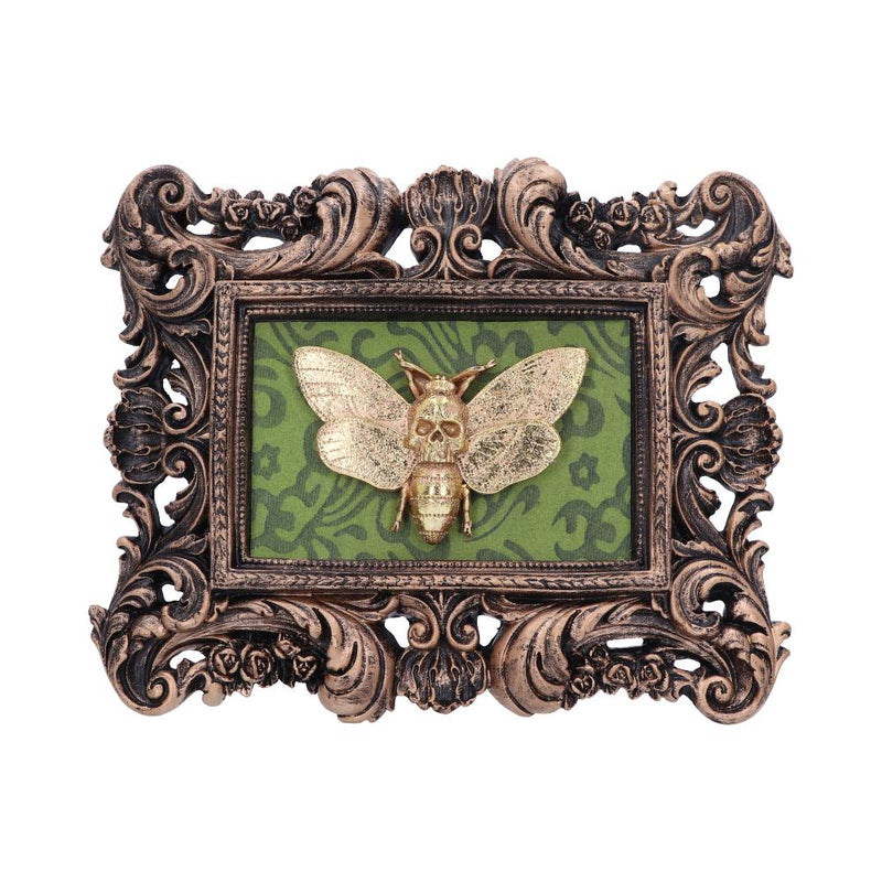 Baroque Framed Death's Head Moth Wall Plaque - Various Styles