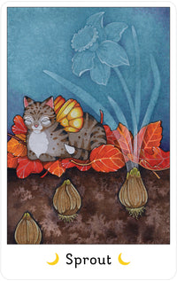 Affirmations of the Fairy Cats Deck and Book Set by Brenda June Saydak