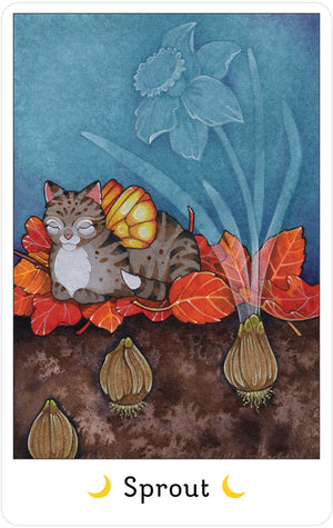 Affirmations of the Fairy Cats Deck and Book Set by Brenda June Saydak