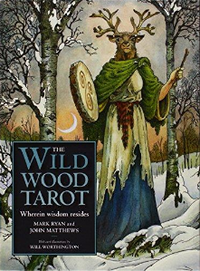 Wildwood Tarot by Mark Ryan & John Matthews