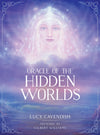 For the Love of Dragons Oracle by Angi Sullins and Amy Brown