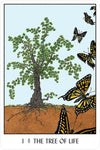 Oracle of the Trees by Francesca Romana Valente & Mariuccia d'Angiò