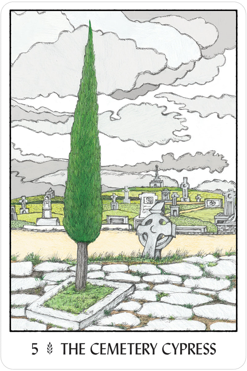 Oracle of the Trees by Francesca Romana Valente & Mariuccia d'Angiò