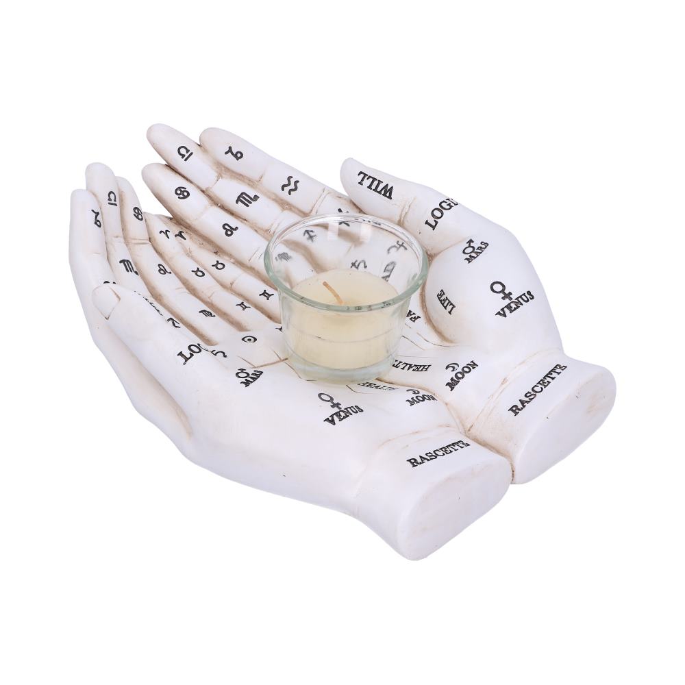 Cupped Palmistry Hands Candle Holder - Various Colors