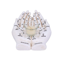 Cupped Palmistry Hands Candle Holder - Various Colors