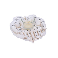 Cupped Palmistry Hands Candle Holder - Various Colors