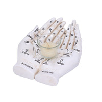 Cupped Palmistry Hands Candle Holder - Various Colors