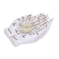 Cupped Palmistry Hands Candle Holder - Various Colors
