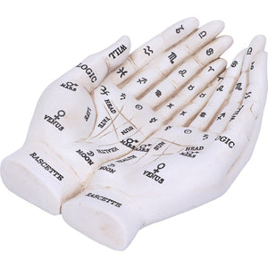 Cupped Palmistry Hands Candle Holder - Various Colors