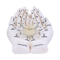 Cupped Palmistry Hands Candle Holder - Various Colors