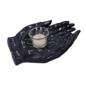 Cupped Palmistry Hands Candle Holder - Various Colors
